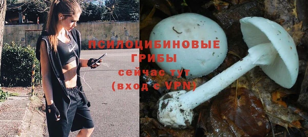 таблы Липки