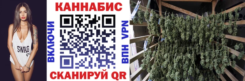 мориарти клад  Горячеводский  Канабис индика 